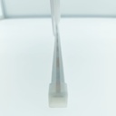 NEON LED LONG 5W 24V 4000K IP67 10MT