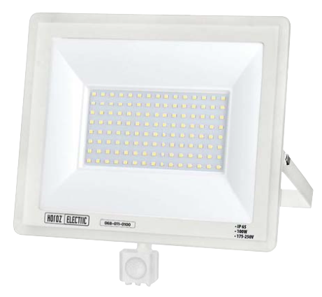 ASLAN/S-100 100W WHITE 6400K 175-250V L PRO WTH SNS