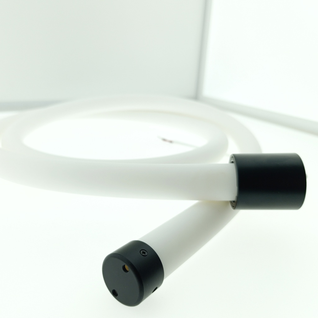 NEON LED 360º 10W 24V 4000K IP67 5M