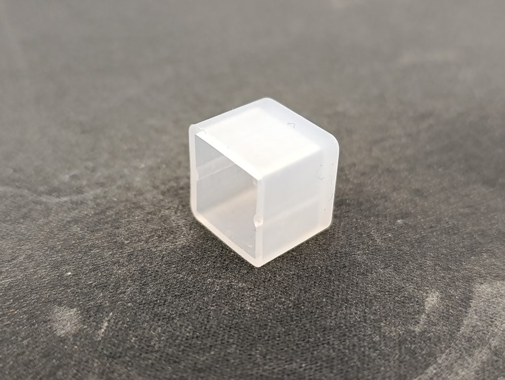 NEON LONG - Tampa final