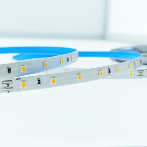 [ELIGHT-72W24V5500KIP20] FITA LED ELIGHT 7.2W 24V 5500K IP20 5MT